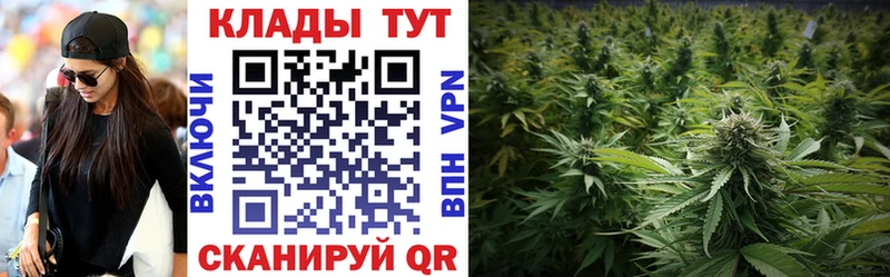 Где продают наркотики Вилючинск A-PVP КЕТАМИН Галлюциногенные грибы Гашиш МЕФ Канабис