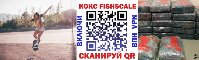 где купить   Вилючинск  Cocaine FishScale 