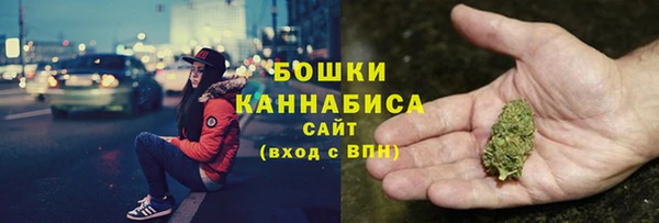 дурь Бронницы