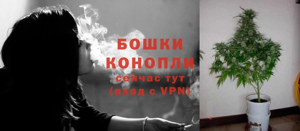 дурь Бронницы