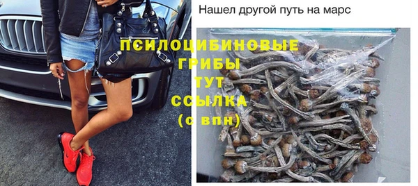 дурь Бронницы