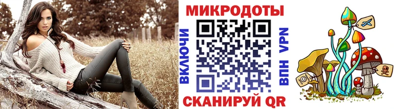где найти   Вилючинск  Псилоцибиновые грибы Psilocybine cubensis 